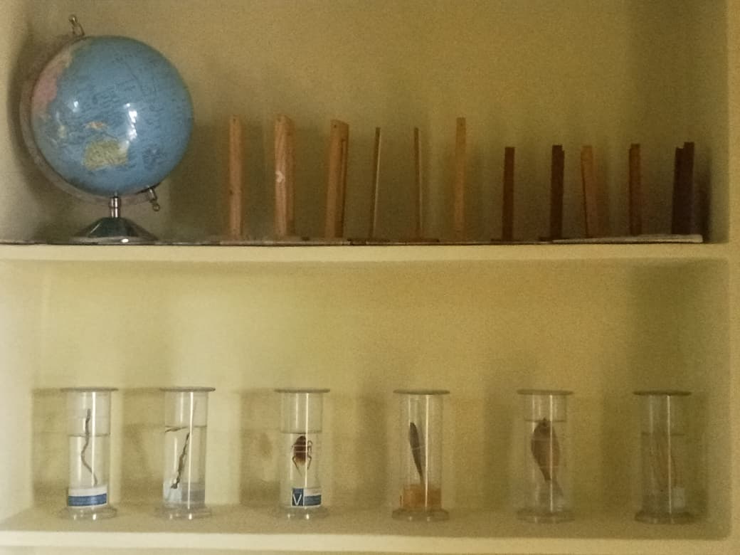 Facilities